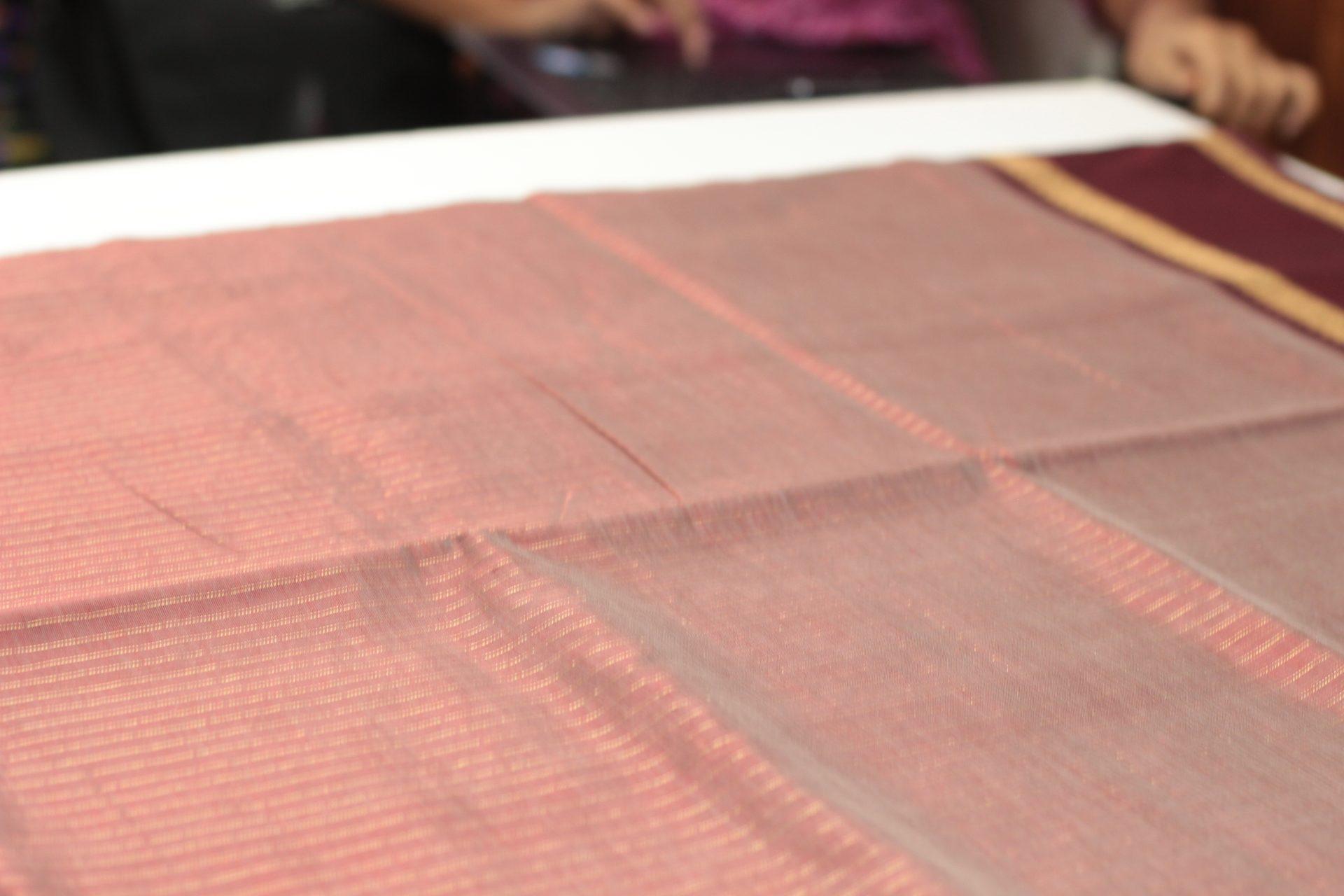 Saree CS434 — Pallu 2