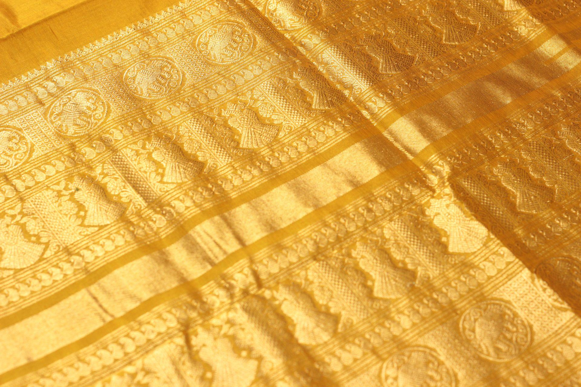 Saree CS448 — Pallu 2