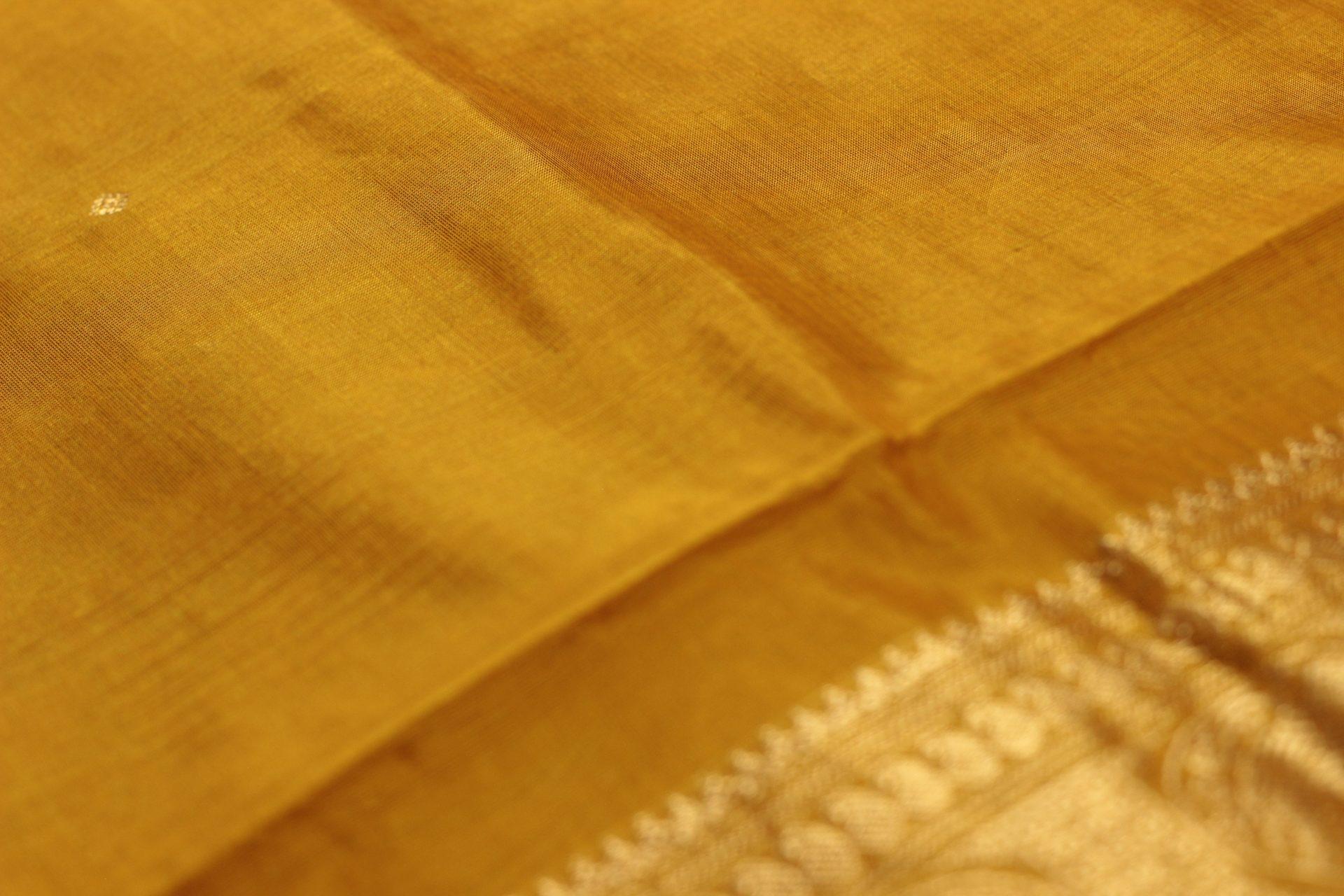 Saree CS448 — Body 1