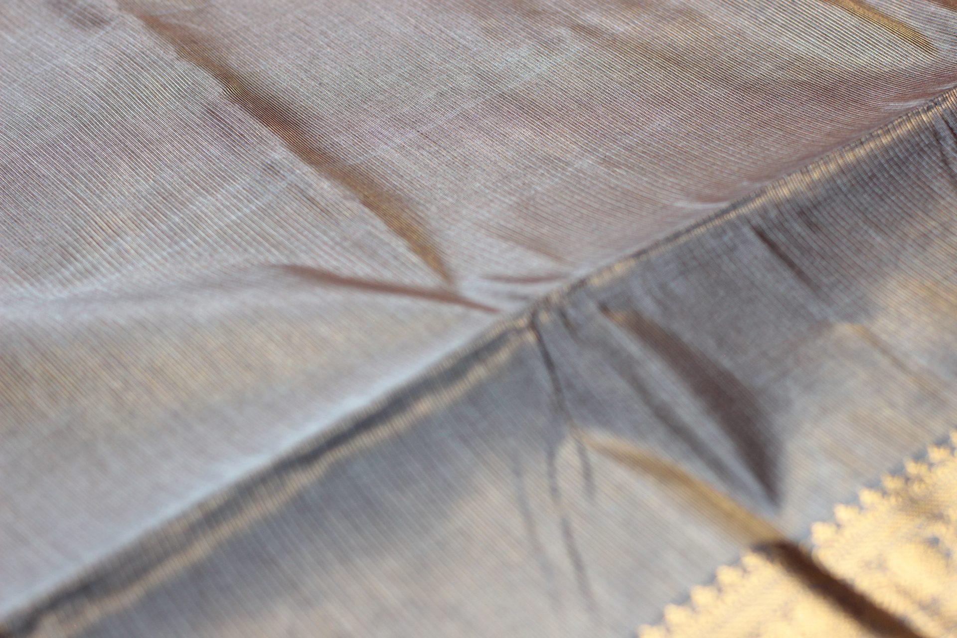 Saree CS474 — Border 1