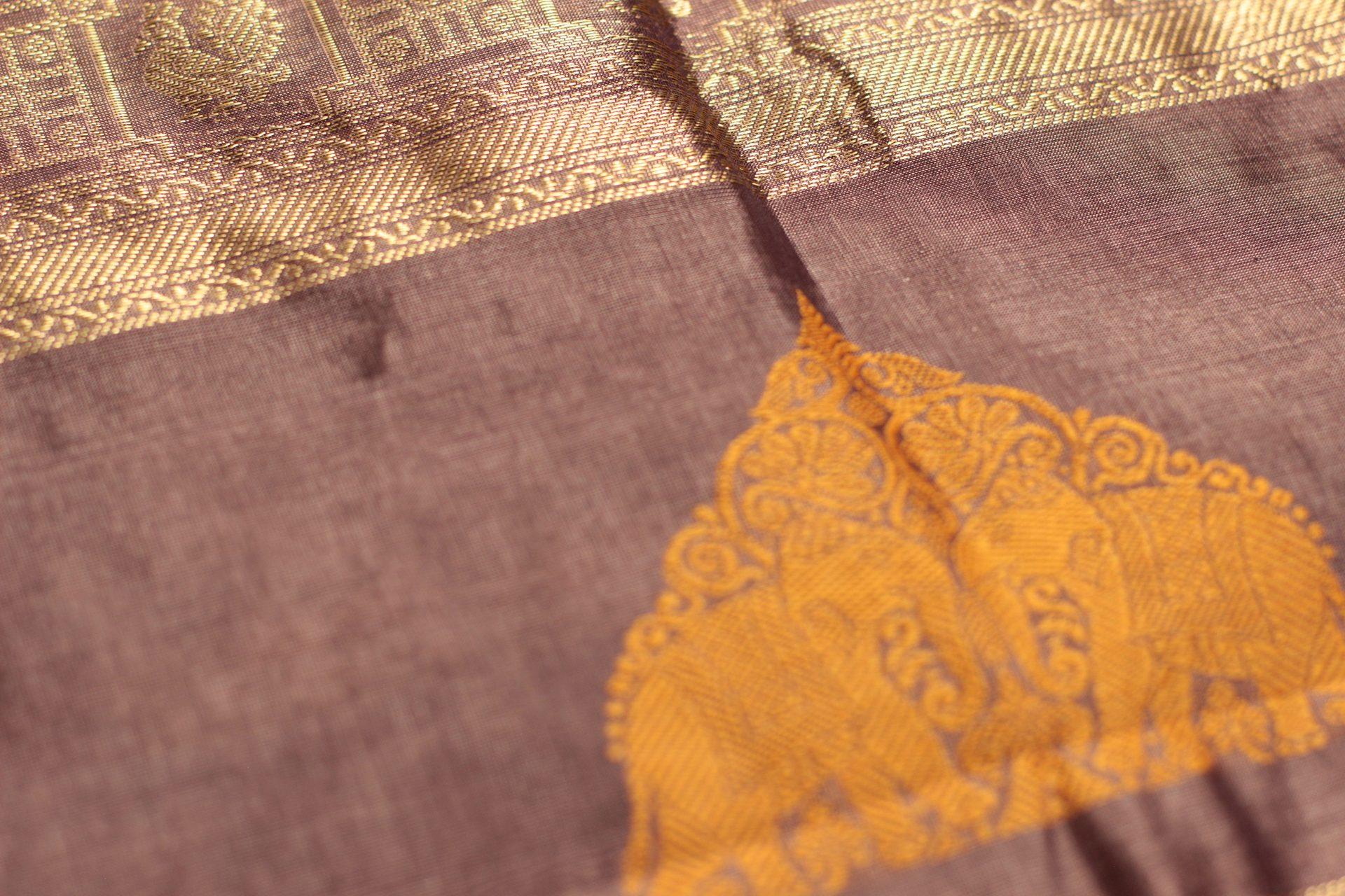 Saree CS484 — Body 1