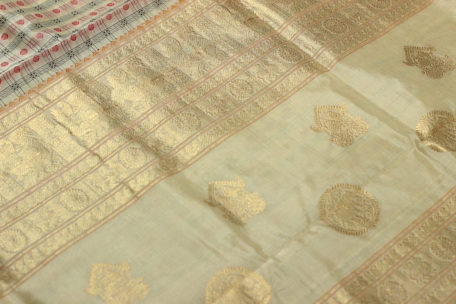 Saree CS488 — Body 1