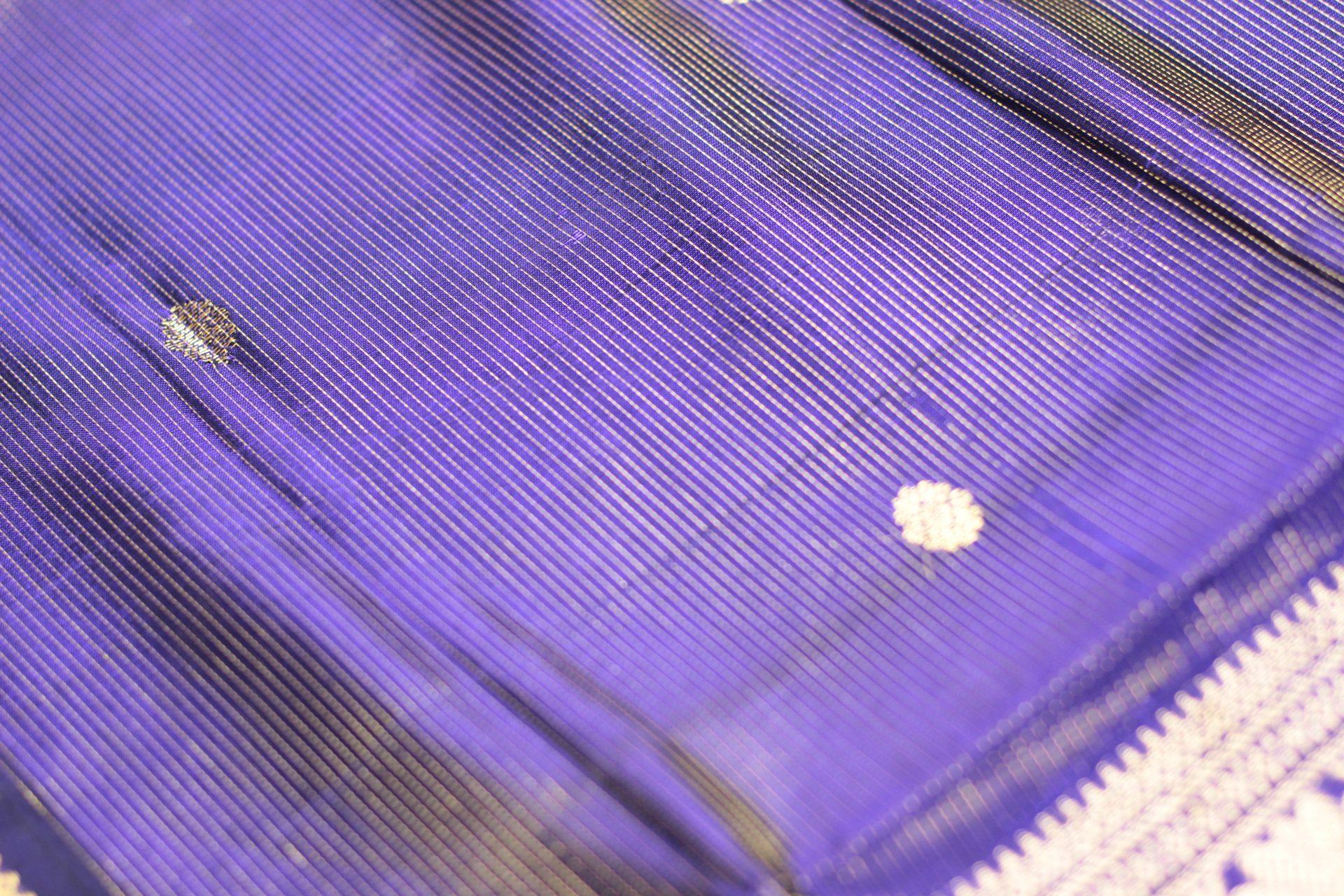 Saree CS497 — Border 1